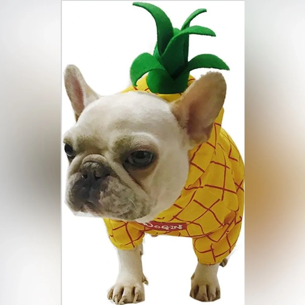 Coppthinku dogin dog